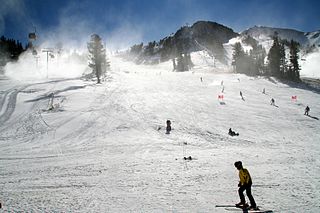 skiers on a California slope