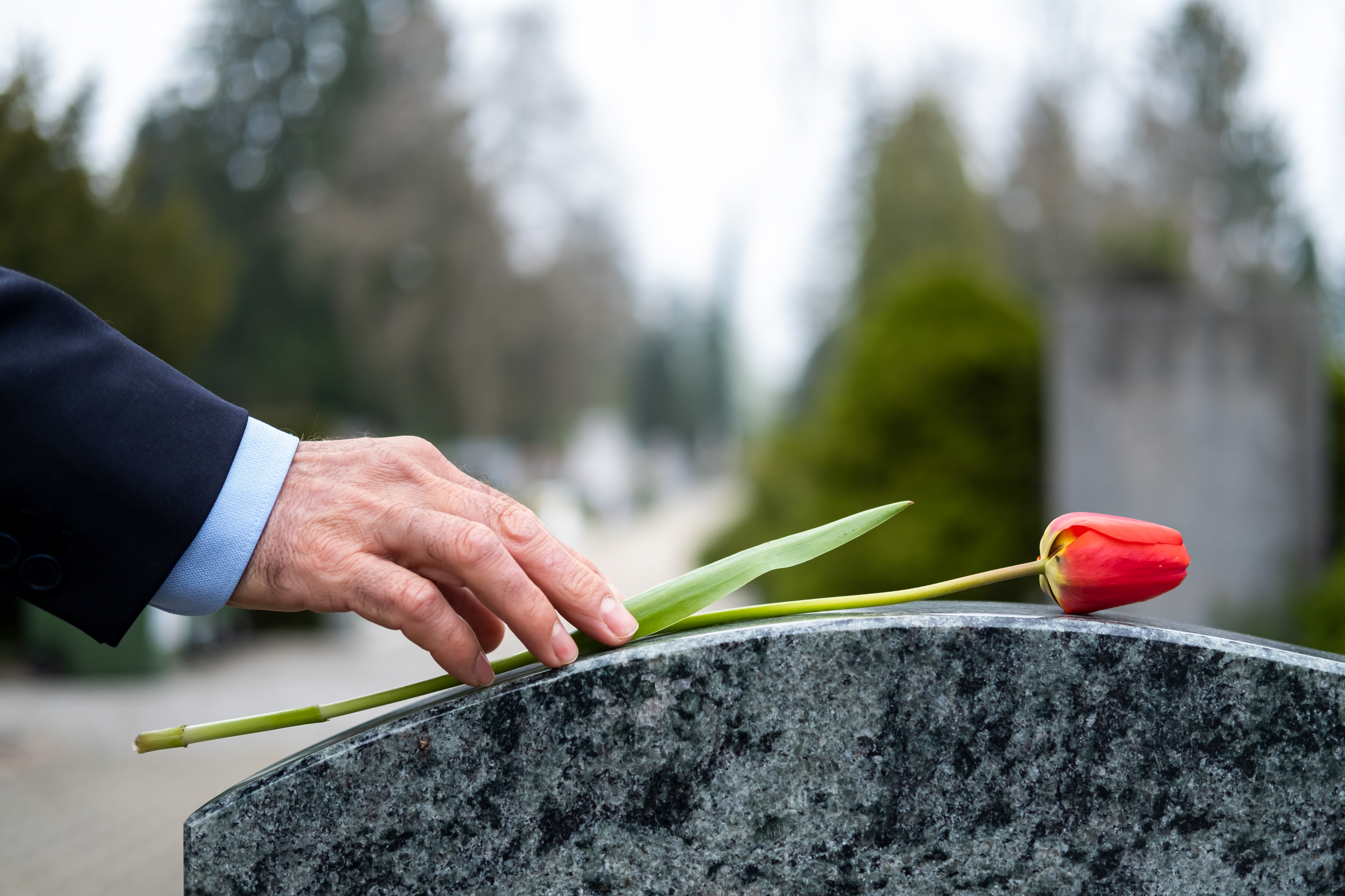 cemetary with flowers